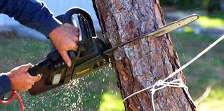 Best Tree Trimming and Pruning  in Islip Terrace, NY