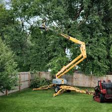 Best Lawn Irrigation Installation and Maintenance  in Islip Terrace, NY