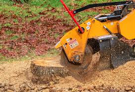 Best Stump Grinding and Removal  in Islip Terrace, NY